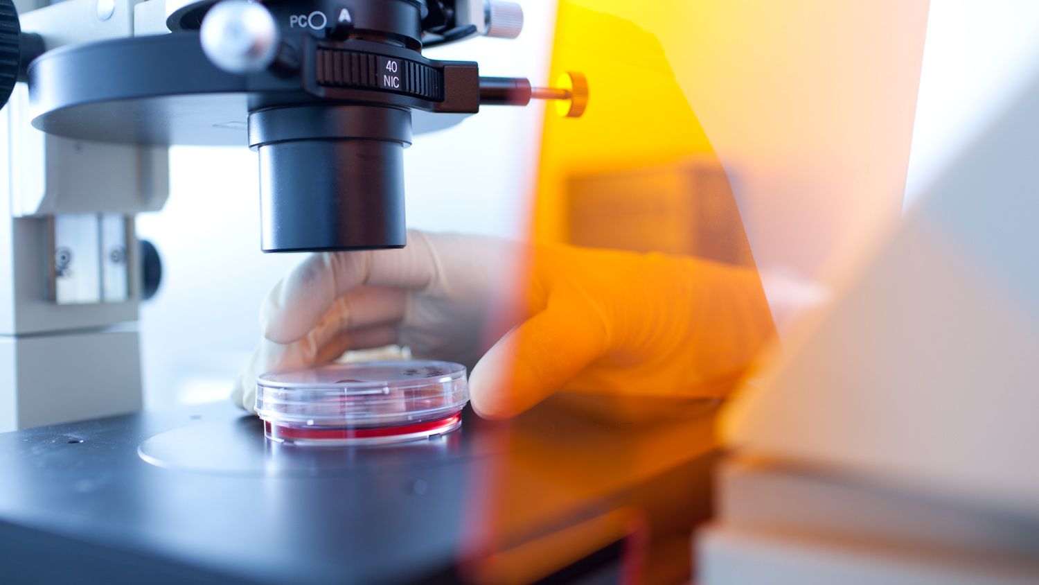 Исследование наноструктурированных оптических материалов